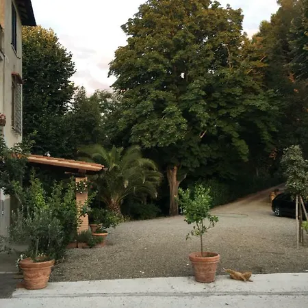 Treggiaia-poggio Al Paradiso *